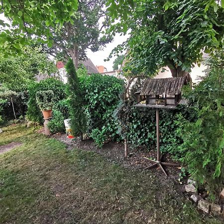 Kwatery U Zisi Miedzyzdroje Esterno foto